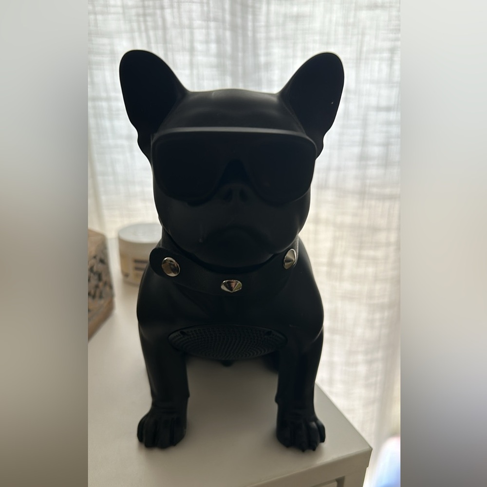 Bluetooth dog speaker.
